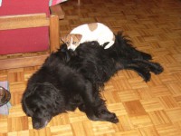 /album/foto/ady-2-jpg/